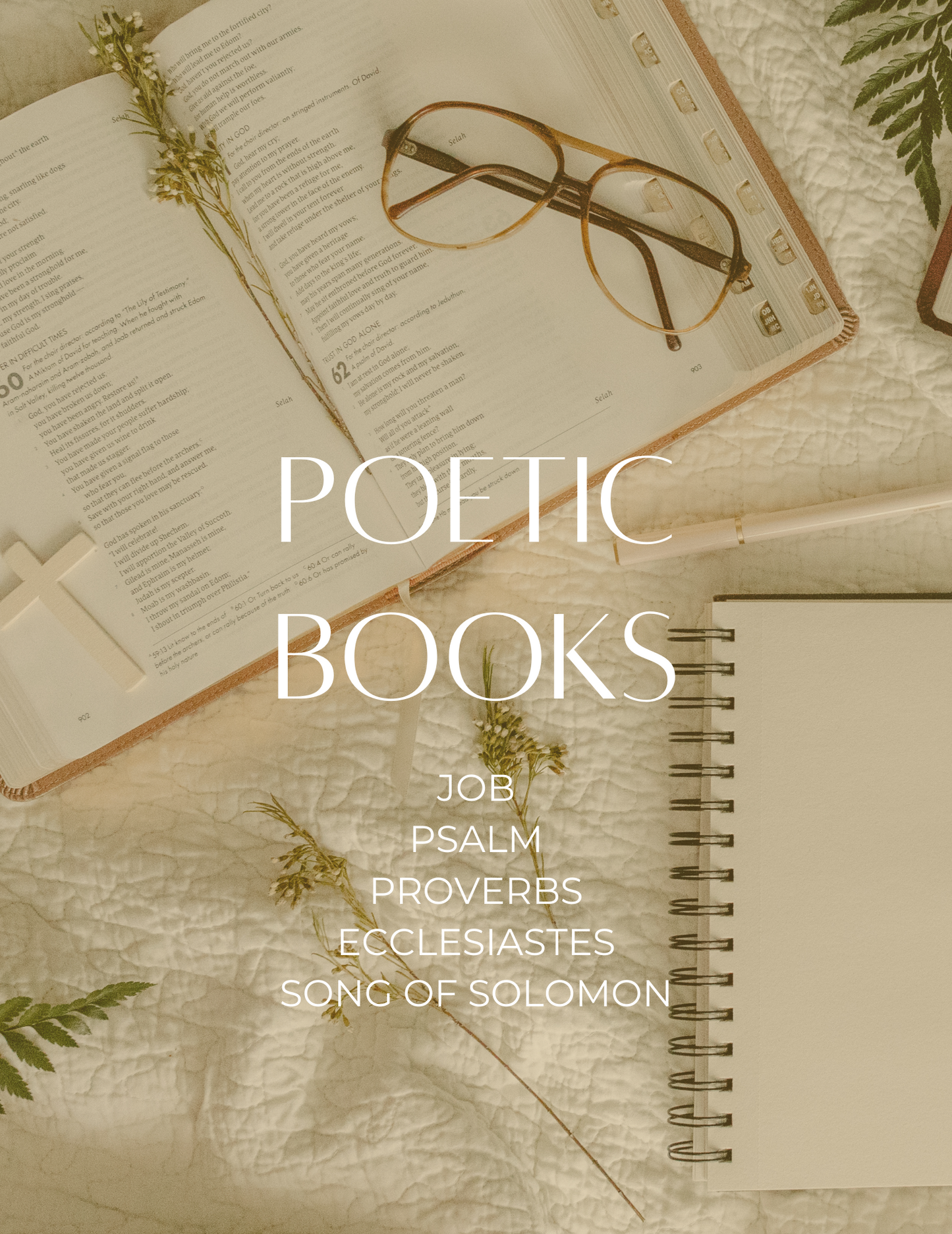 Divine Connections: A Guide for Christian Women to Find Relationship Wisdom In the Bible