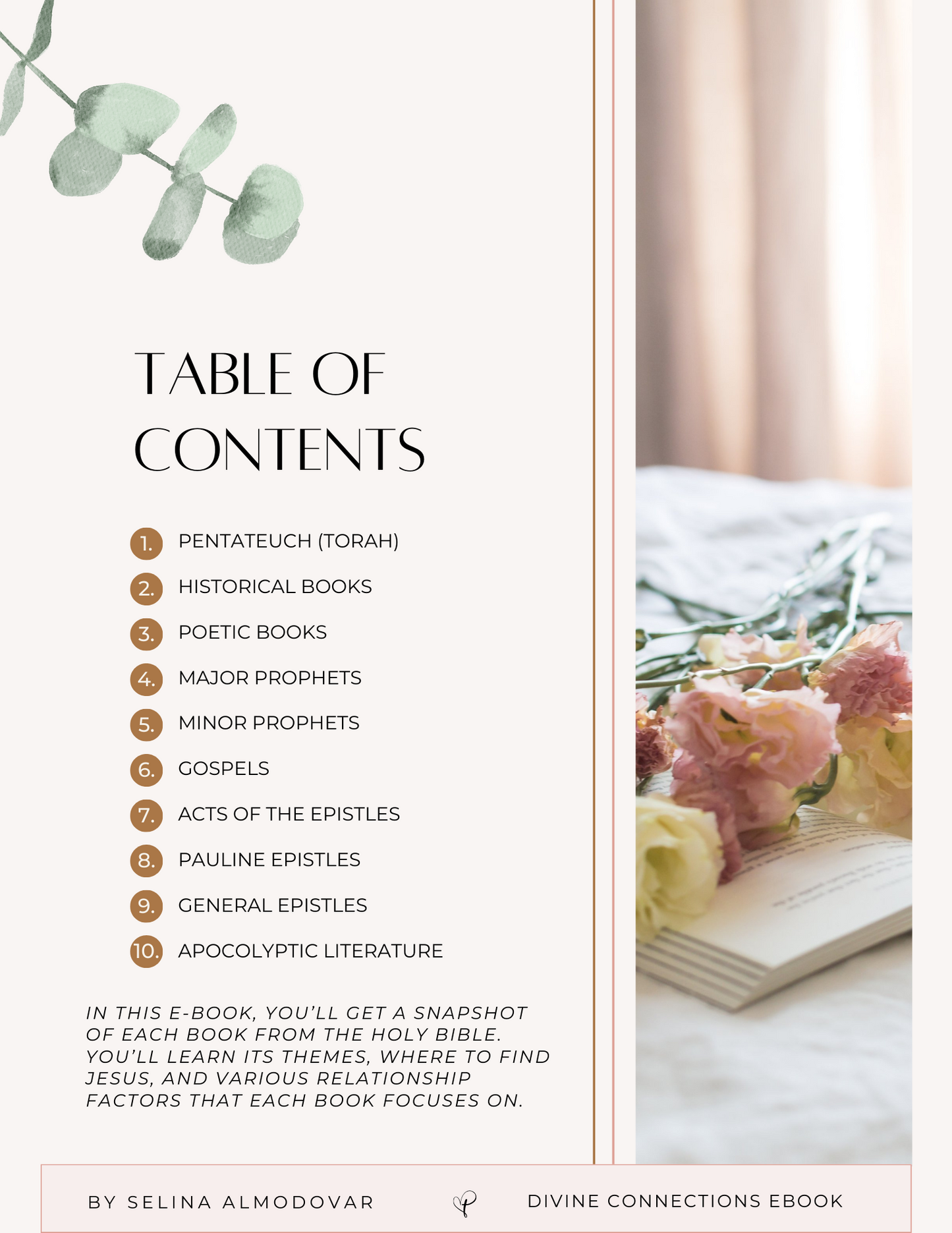 Divine Connections: A Guide for Christian Women to Find Relationship Wisdom In the Bible