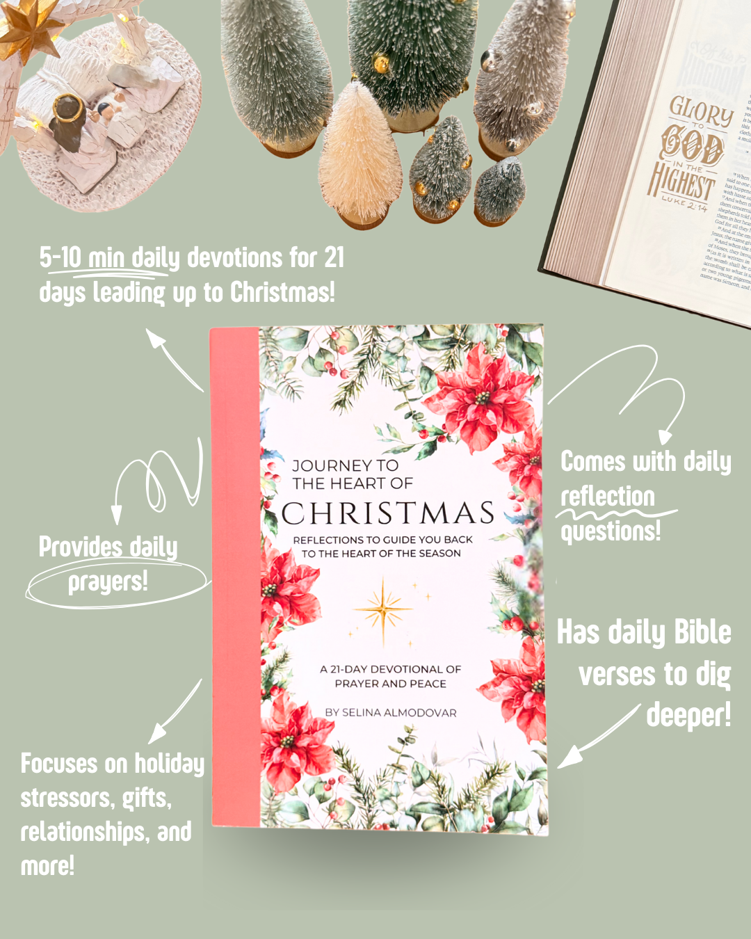 Journey to the Heart of Christmas: A 21-Day Paperback Devotional of Prayer and Peace